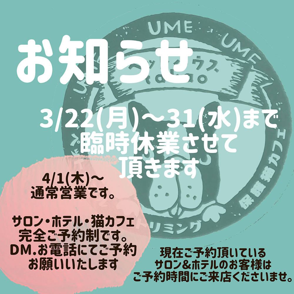 3/22（月）～31（水）まで臨時休業させて頂きます。